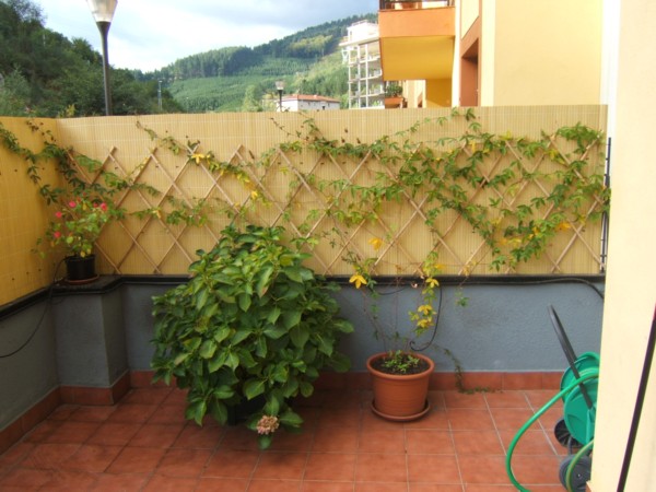 DSCF0616.JPG