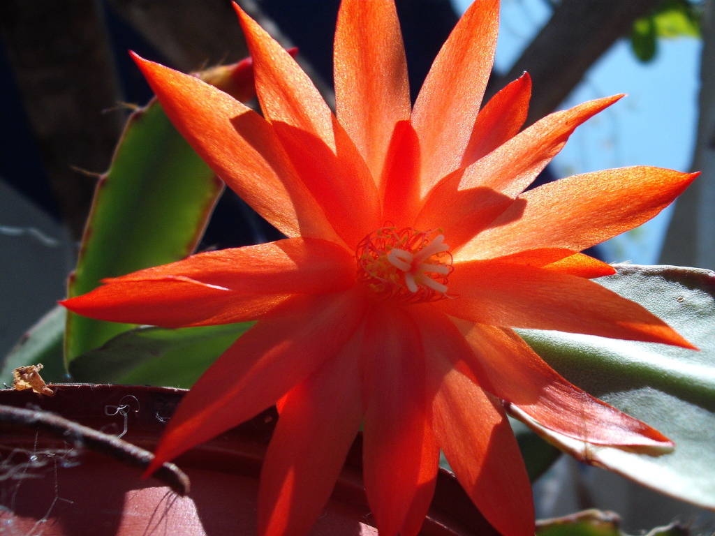 DSCF0680.jpg