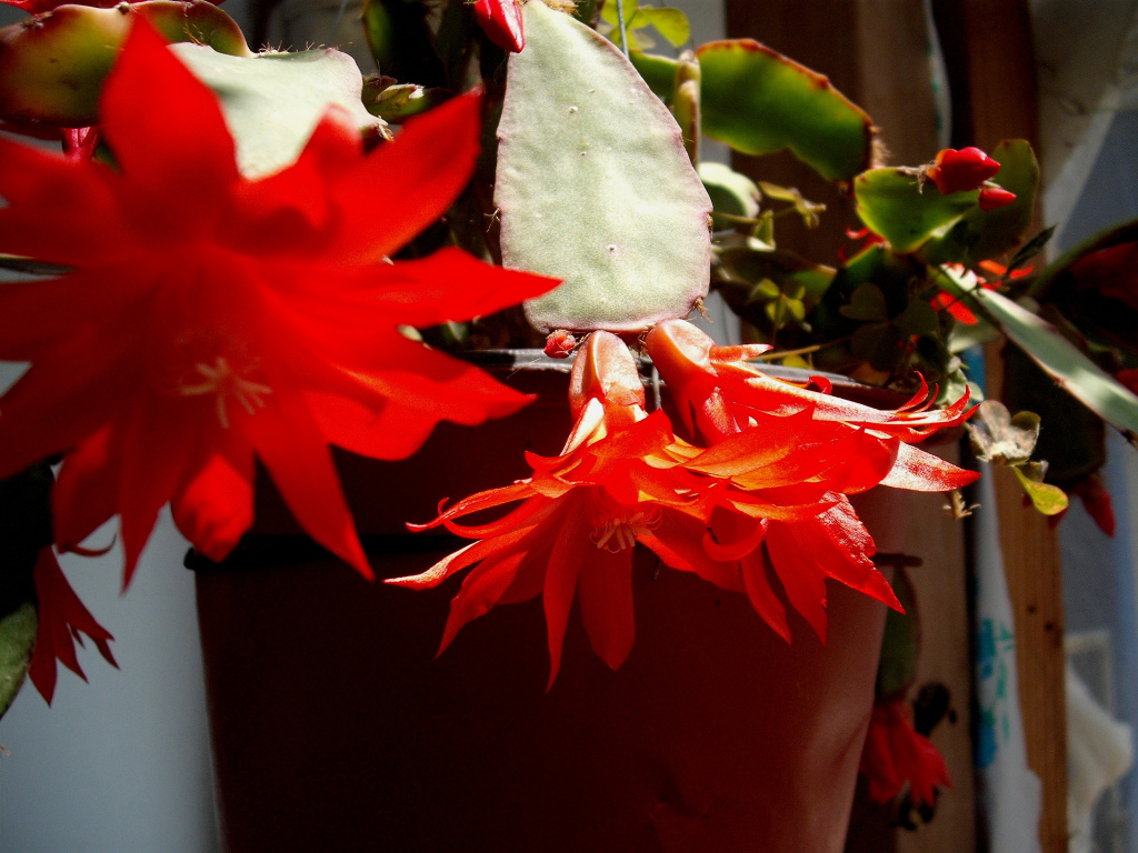 DSCF0747.jpg