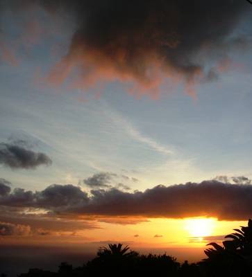 DSCF0748.JPG