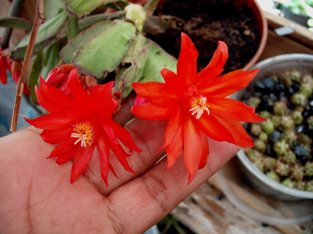 DSCF0749.jpg