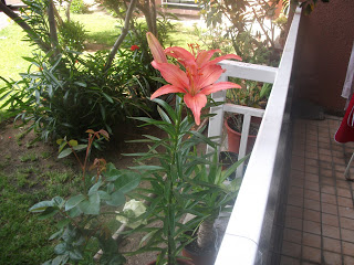 DSCF0763.JPG