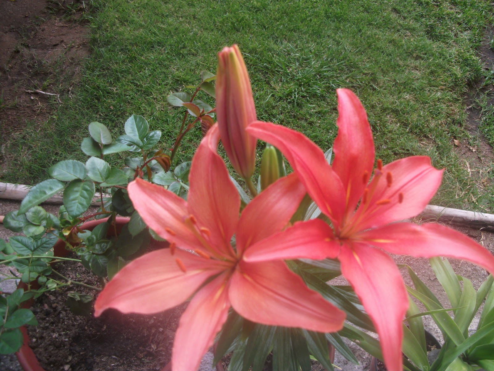 DSCF0766.JPG