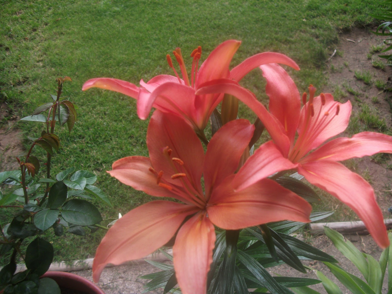 DSCF0792.JPG
