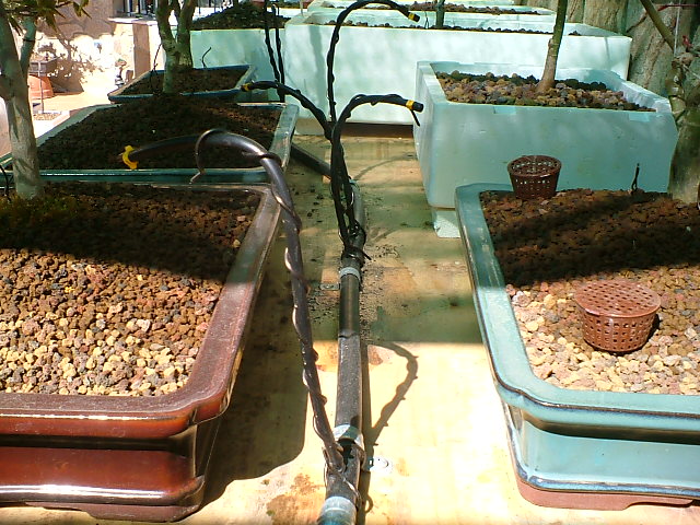 DSCF08641.JPG