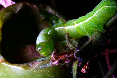 DSCF0865.jpg