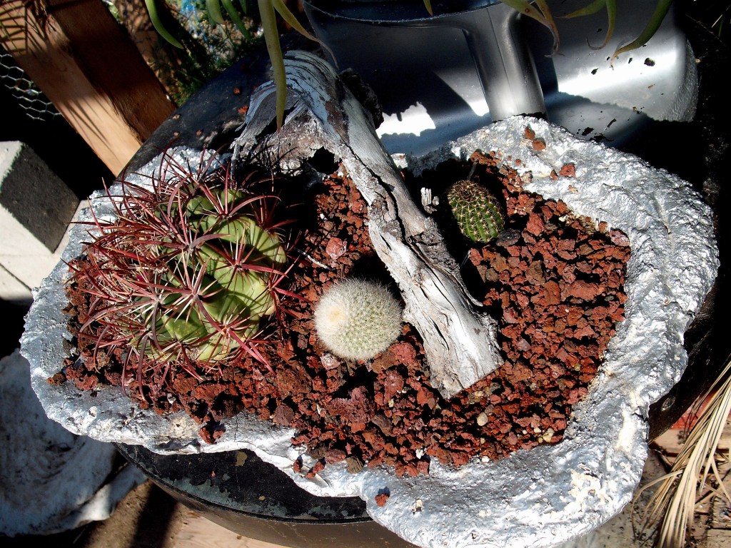DSCF0875.jpg