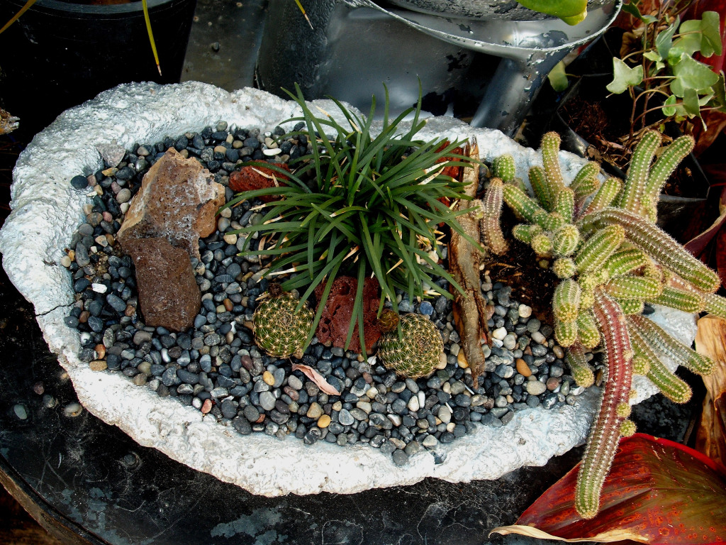 DSCF0876.jpg