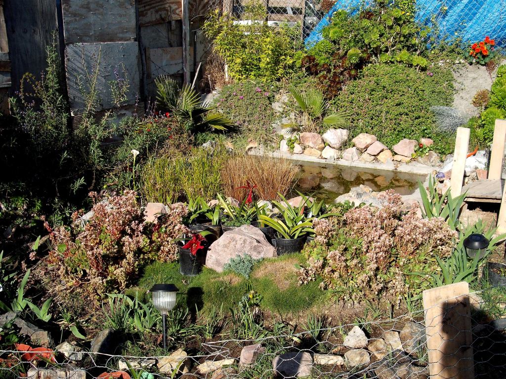 DSCF0905.jpg