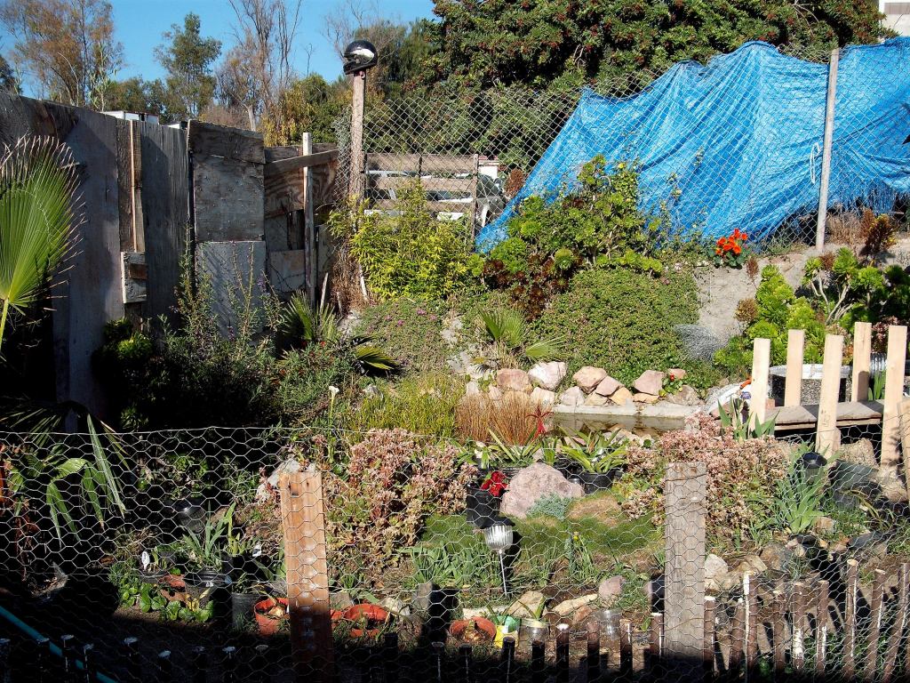 DSCF0906.jpg