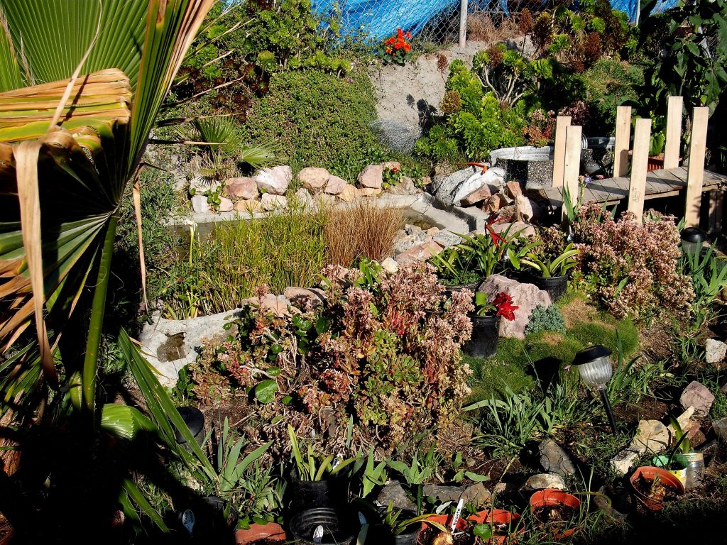 DSCF0907.jpg