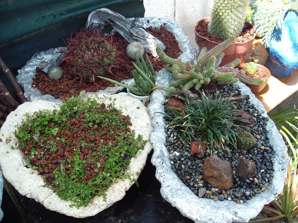 DSCF0910.jpg