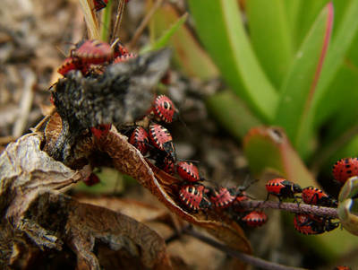DSCF0915.jpg