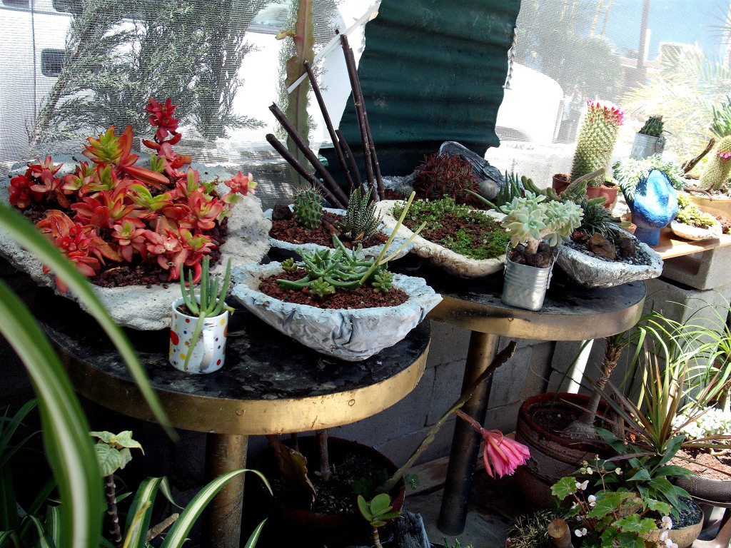 DSCF0923.jpg