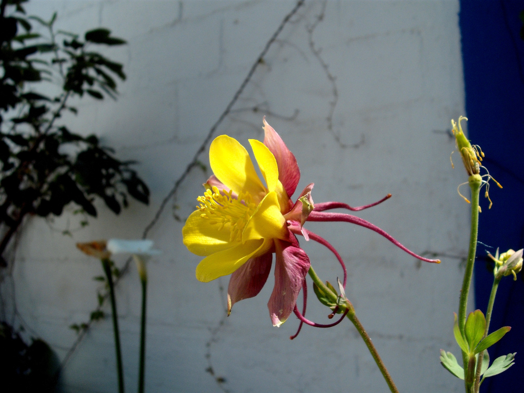 DSCF0954.jpg