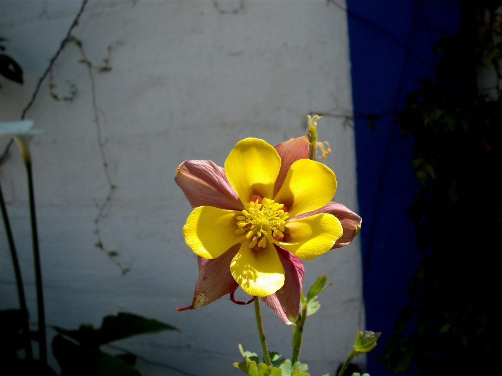 DSCF0955.jpg