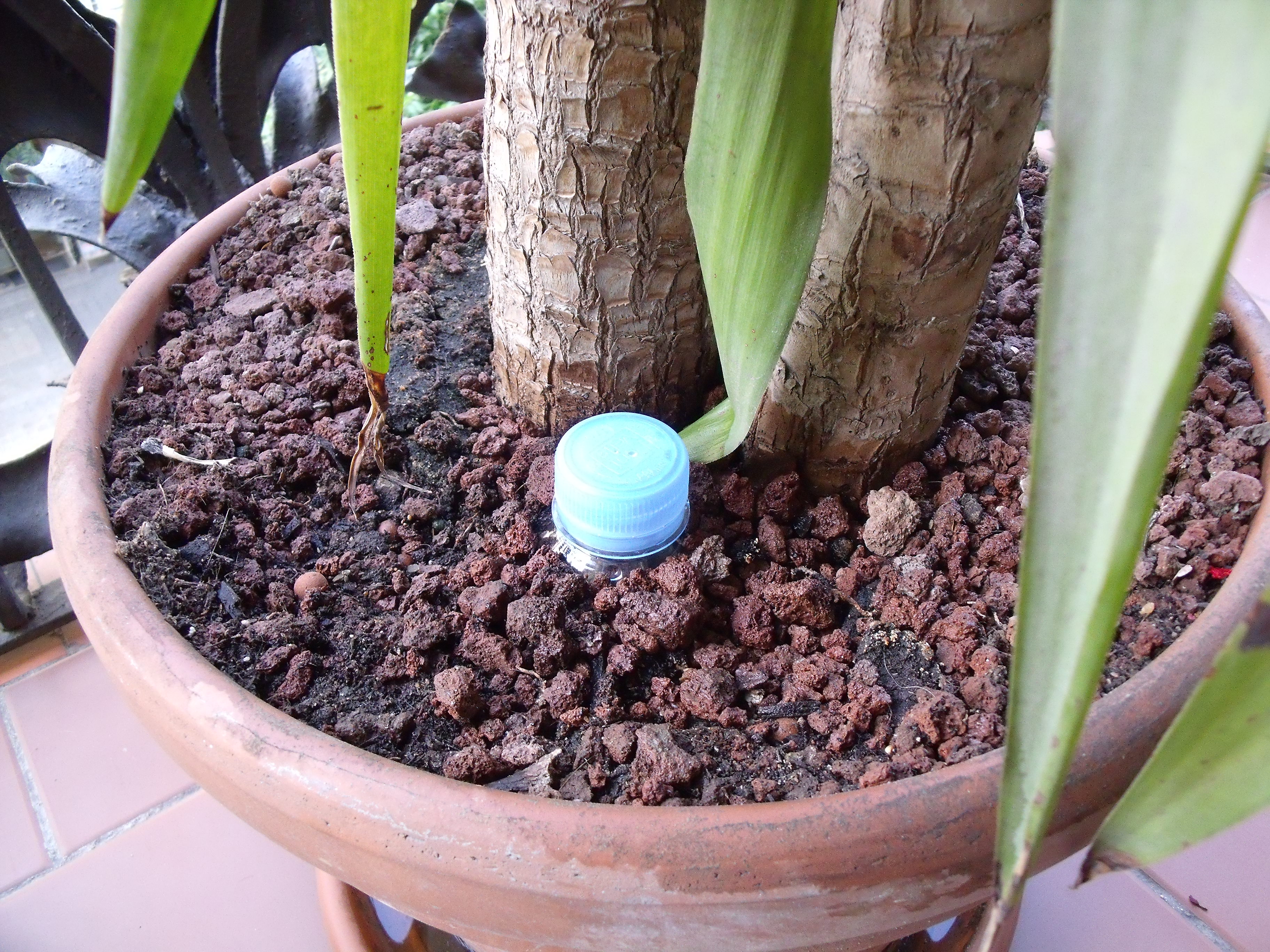 dscf0966.jpg