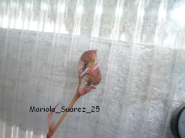 DSCF1021.JPG