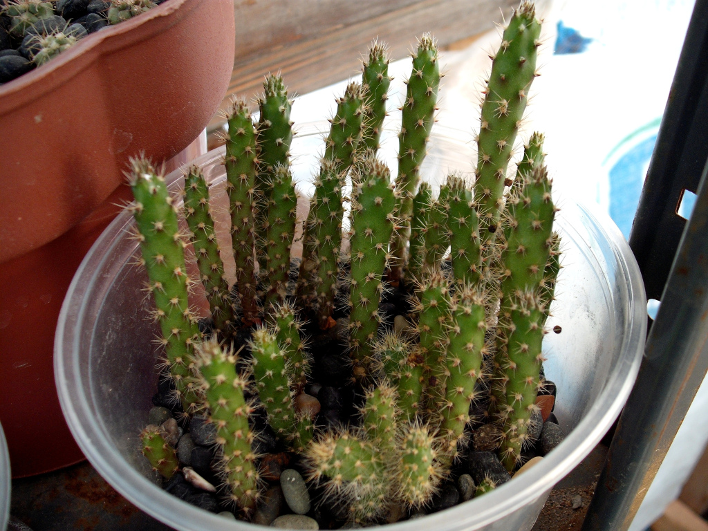 DSCF1051.jpg