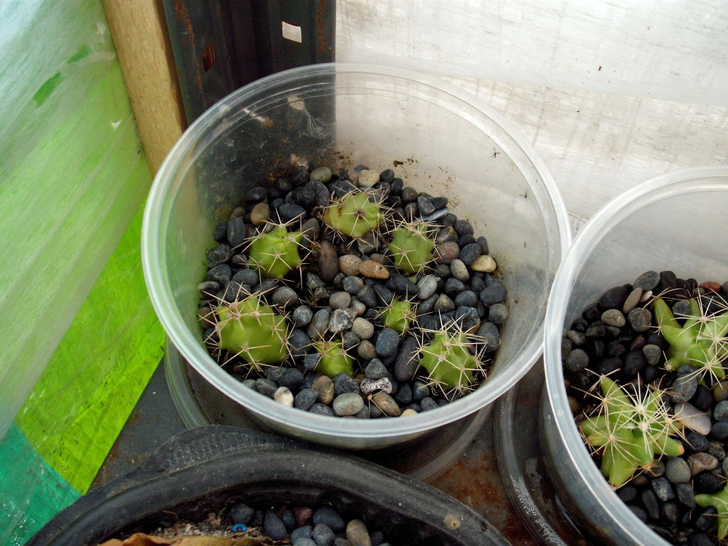 DSCF1054.jpg