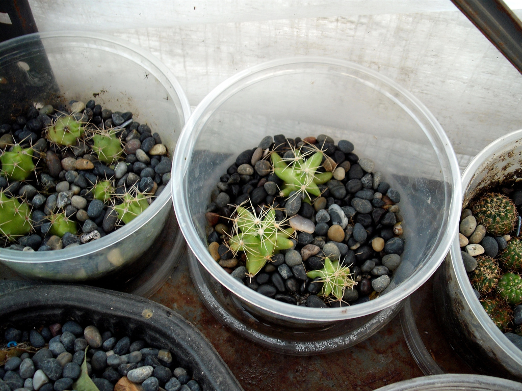 DSCF1055.jpg