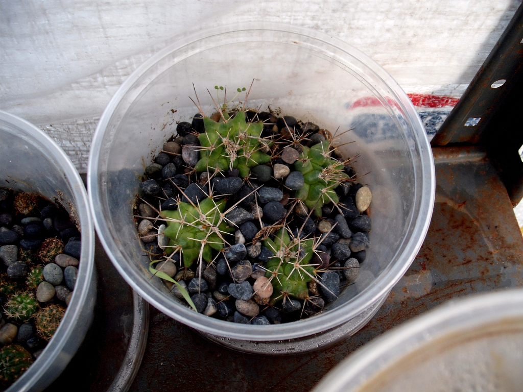 DSCF1056.jpg