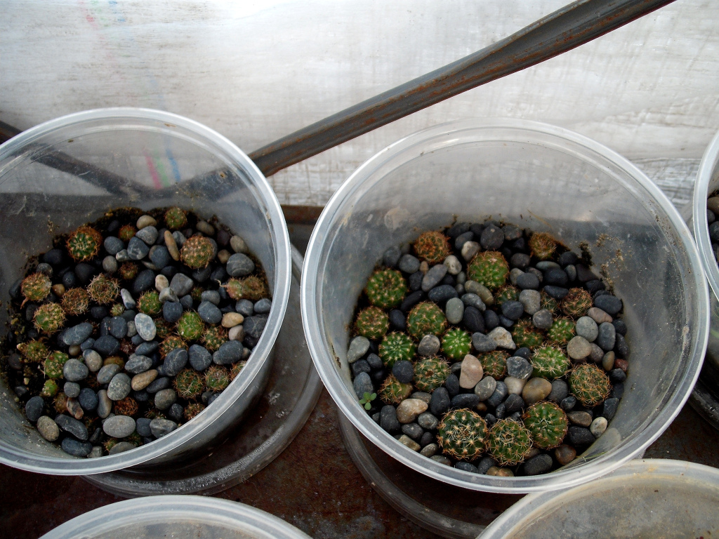 DSCF1057.jpg