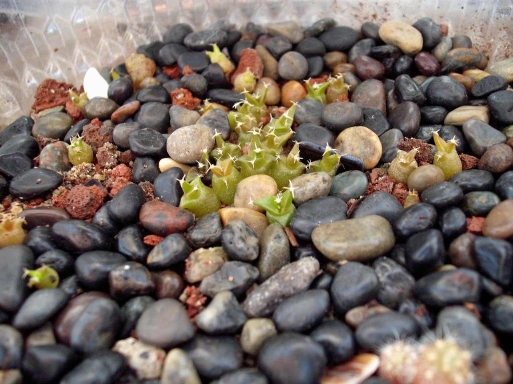 DSCF1059.jpg