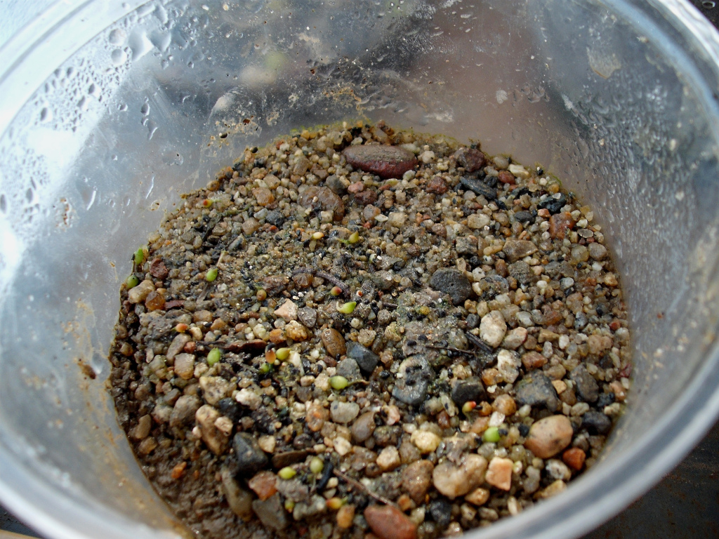 DSCF1061.jpg