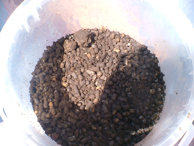 DSCF11101.JPG