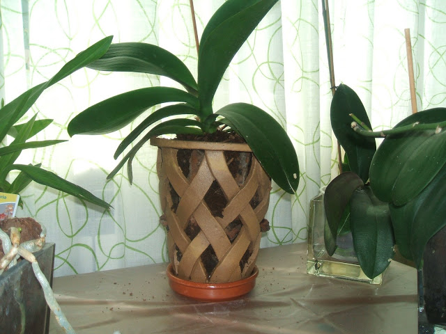 DSCF1114.JPG