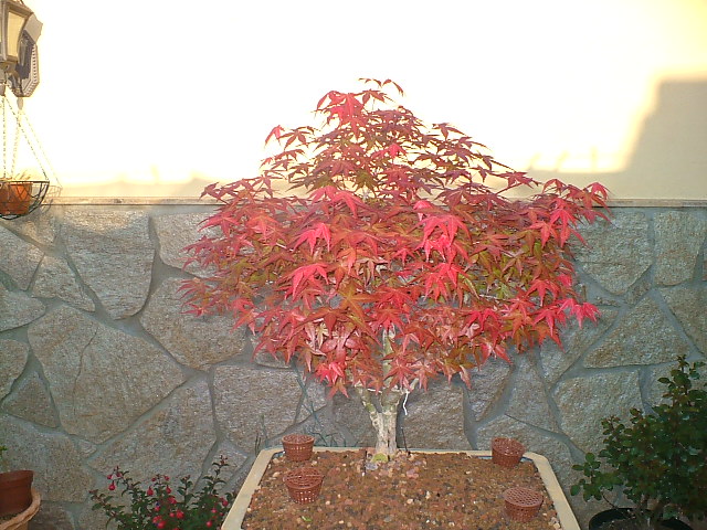 DSCF1153.JPG