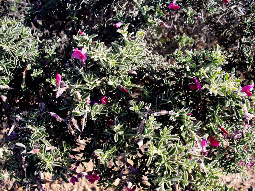 DSCF1188.jpg
