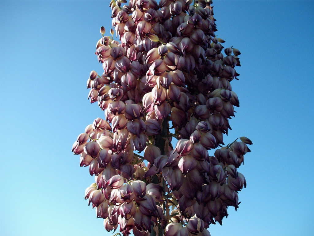 DSCF1189.jpg