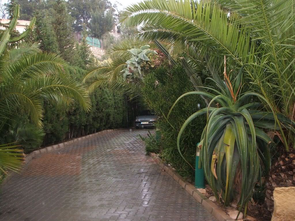 DSCF1203.jpg