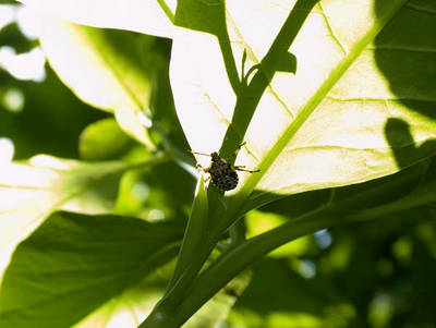 DSCF1219.jpg
