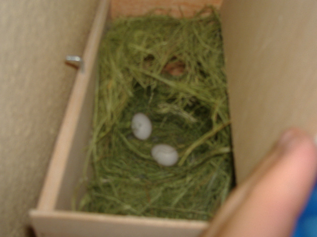 DSCF1261.JPG