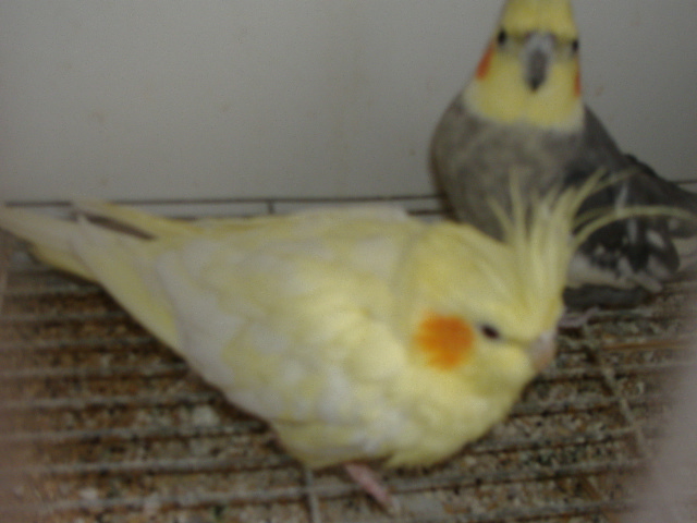 DSCF1265.JPG