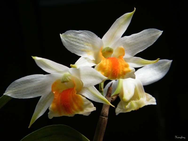 DSCF1269.jpg