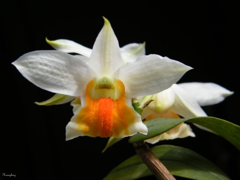 DSCF1273.jpg