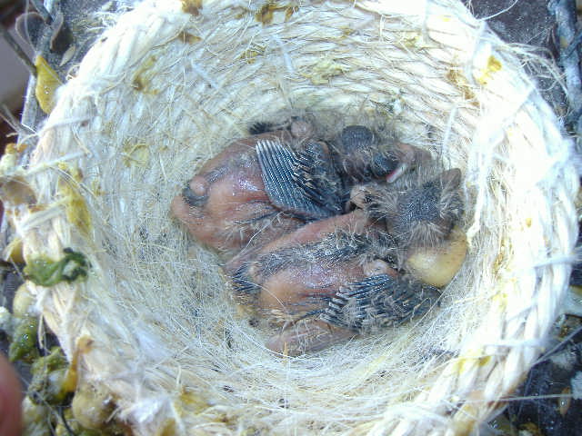 DSCF1276.JPG