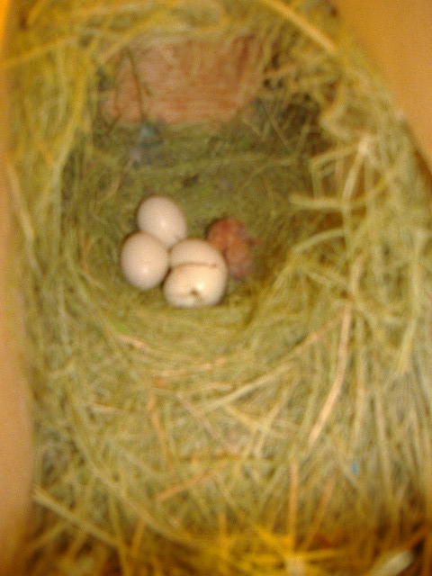 DSCF1280.JPG