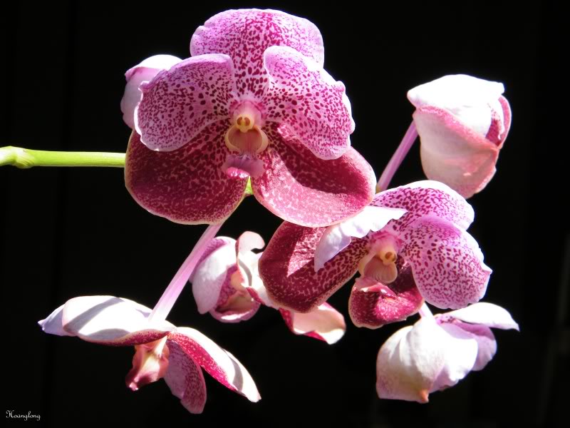 DSCF1284.jpg