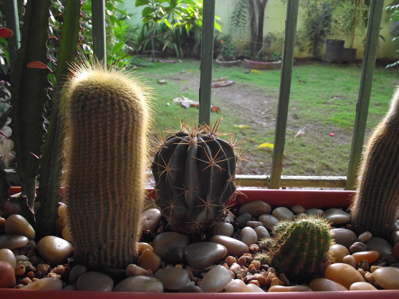 DSCF1292.jpg