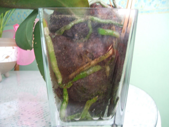 DSCF1312.JPG