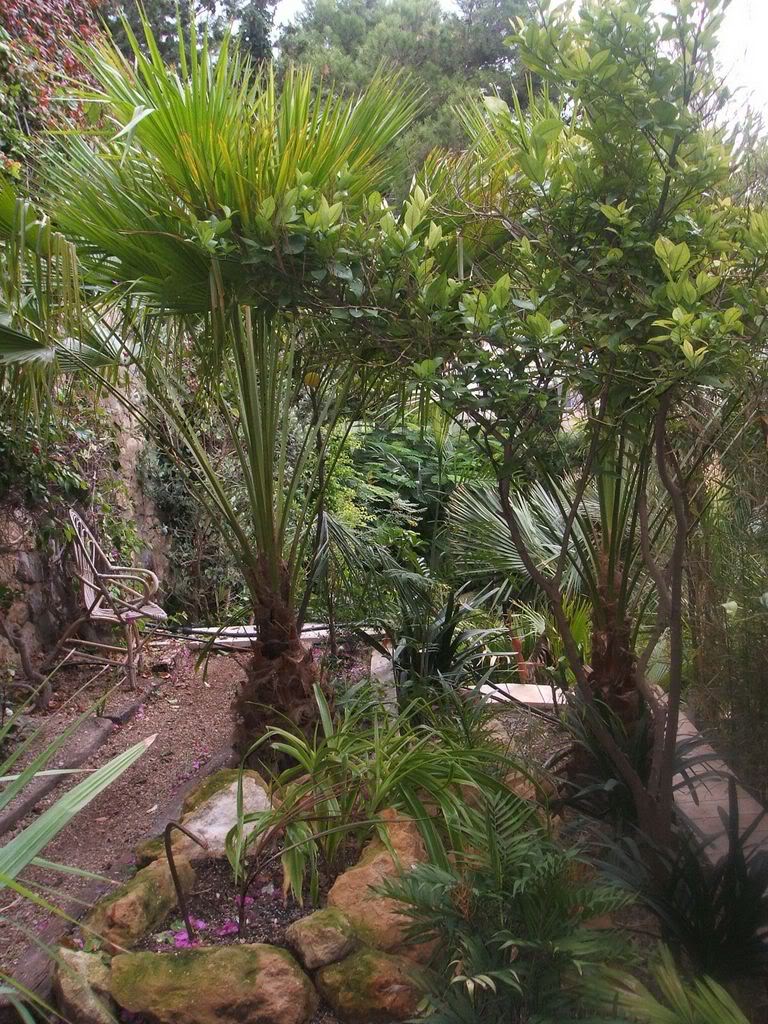 DSCF1313.jpg