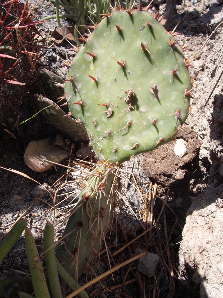 DSCF1346.jpg