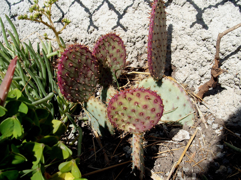 DSCF1347.jpg