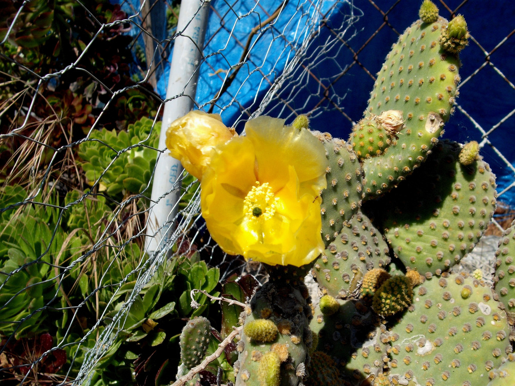 DSCF1349.jpg