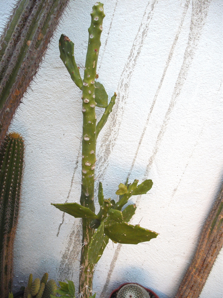 DSCF1357.jpg